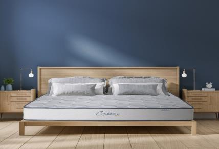 NỆM LÒ XO CASSARO FIRM